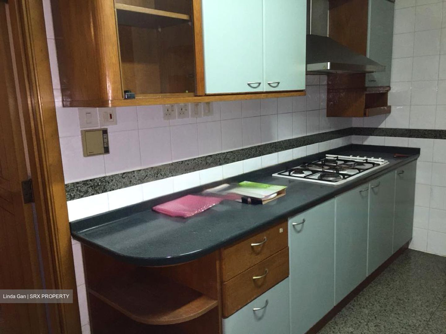 The Legend (D10), Condominium #515661831